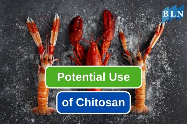 Unleashing The Power Of Chitosan In The Biomedical Field
